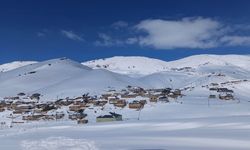 Başkale'de kar etkili oldu, yollar kapandı