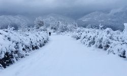 Van için kar yağışı uyarısı!