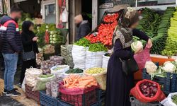 Van’da turşuluk sebze fiyatları tavan yaptı