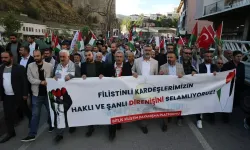 Van ve Bitlis'te İsrail'in Gazze'ye Yönelik Katliamları Protesto Edildi!