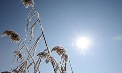 Meteorolojiden "azot dioksit gazı" açıklaması