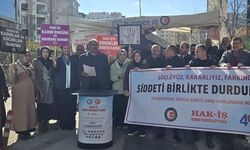 HAK-İŞ üyeleri Van'da kadına yönelik şiddeti kınadı