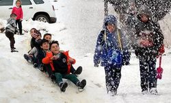 Van'ın bir ilçesinde okullar tatil edildi! İşte nedeni...