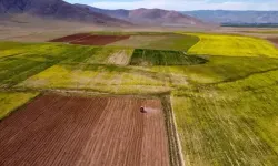 Bakanlık, Kullanılmayan Arazileri Değerlendirmek İçin Adım Attı! Toplulaştırma Nedir?