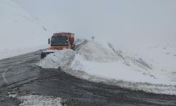 Bahçesaray'da kış çilesi erken başladı