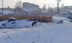 Ağrı'da Sibirya soğukları, hayatı felç etti