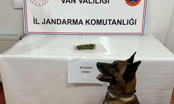 Van'da 44 gram esrar ele geçirildi