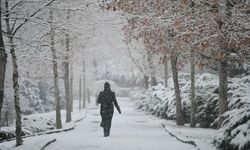 Van’a kar geliyor! Meteoroloji tarih verdi