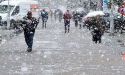 Pazar günü Van’ın hangi ilçelerinde kar yağacak?