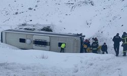 Yolcu otobüsü şarampole devrildi