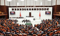 TBMM'de 2024 nasıl geçti?