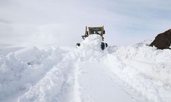 Van’da 131 yol ulaşıma kapandı