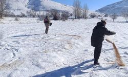 Bitlis’te yaban hayvanları için doğaya yem bırakıldı