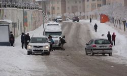 Van'da kar yağışı hayatı olumsuz etkiledi