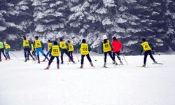 Bolu'da, Türkiye Kayakla Oryantiring Şampiyonası düzenlendi