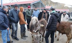 Erzurum'daki o hayvan pazarı yeniden açıldı