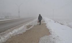 Hakkari'de soğuk hava ve sis etkili oldu