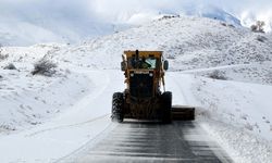 Van’da kar etkili oldu: 225 yol ulaşıma kapandı