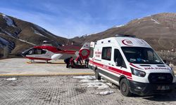 Van'da ambulans helikopter 2 hamile kadın için havalandı