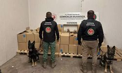 Ticaret Bakanlığı: 3 ilde 1 milyar liranın üzerinde kaçakçılık önlendi