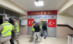 Van'da 5 organizatör tutuklandı