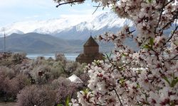 Van’da ödüllü fotoğraf yarışması düzenlenecek