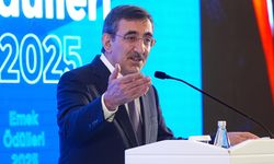 Cumhurbaşkanı Yardımcısı Yılmaz'dan işsizlik açıklaması