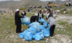 Öğrenci ve vatandaşlar Van Gölü sahilinde temizlik yaptı