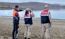 jandarma, inci kefalini korumak için çalışma başlattı