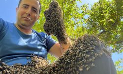 Vanlı üretici Çenberlitaş: 20 Mayıs önemli bir gün