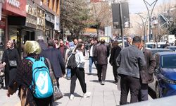 Van, aile yapısıyla öne çıkıyor! İşte o dikkat çekici istatistik