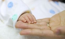 Annelerin çoğul doğum sayısı açıklandı