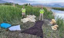 Van'da 3 ton kaçak avlanmış inci kefali ele geçirildi