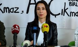 DEM Parti Eş Genel Başkanı Hatimoğulları, Van'da düzenlenen panele katıldı