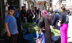 Van'da dağlardan toplanan otlar hem şifa hem kazanç sağlıyor