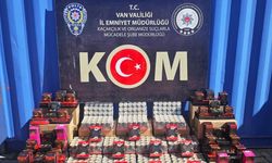 Van’da gümrük kaçakçılığı operasyonu