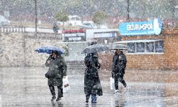Erzurum'a mayısın ortasında lapa lapa kar yağdı