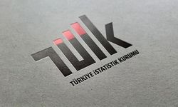 TÜİK: Güven endeksleri mayıs ayında arttı