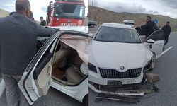 Van'da otomobil refüje çarptı: 2 yaralı