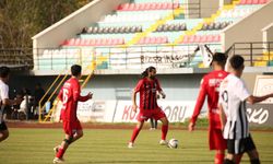 Vanspor FK iki gerekçeyle PFDK’ya sevk edildi