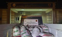 Van'da kaçak avlanan 2 ton inci kefali ele geçirildi