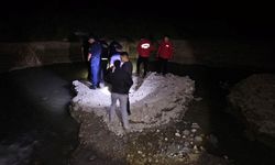 Van'da inci kefalini koruma çalışmaları sürüyor