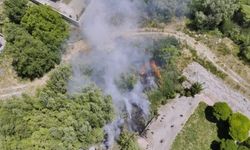 Van Gölü sahilinde yangın paniği