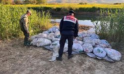 Van'da 22 ton 475 kilogram inci kefali ele geçirildi