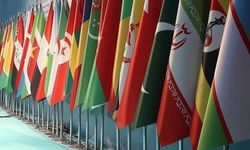 Türkiye'nin İslam İşbirliği Teşkilatı çalışmalarına katkısı sürüyor