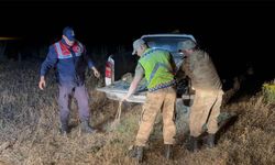 Van’da 1,5 ton inci kefali ele geçirildi