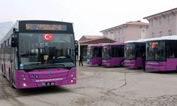 Van’da toplu taşımaya yeni hat! İşte o güzergah…