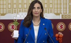 Vanlı Milletvekili Rızvanoğlu Muradiye Şelalesi için bütüncül proje önerdi!