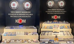 Van'da gümrük kaçakçılığı operasyonu