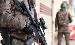 Van ve 47 ilde nitelikli dolandırıcılık şebekelerine yönelik operasyon